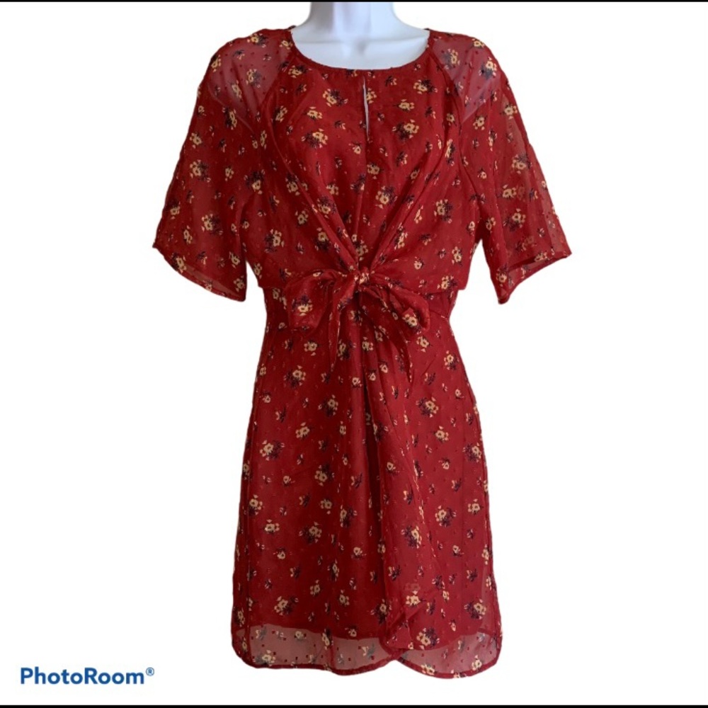 Love Fire Brick Red Fit and Flare Mini Dress - Picture 4 of 13